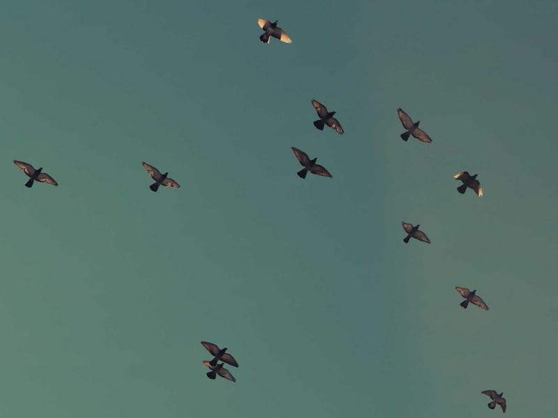 Global Bank Reduces Processing Time by 40%