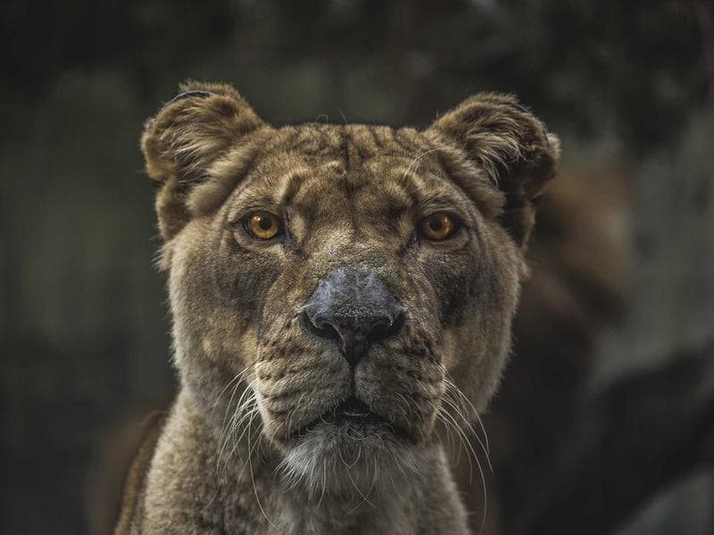 Introduction to Cloud-Native Architecture