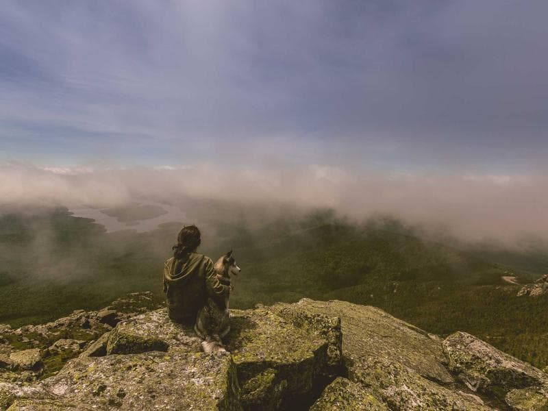 Machine Learning Trends to Watch in 2025